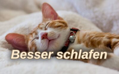 Besser schlafen ab 60+