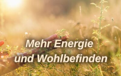 Mehr Energie und Wohlbefinden